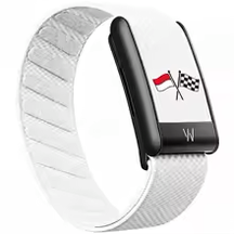 Drapeaux Monaco & formule 1